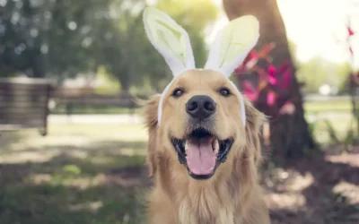 Lab-Easter-2-1